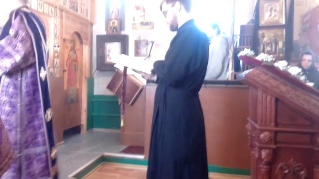 чтение апостолов на архерейской службе в селе Медведково.
