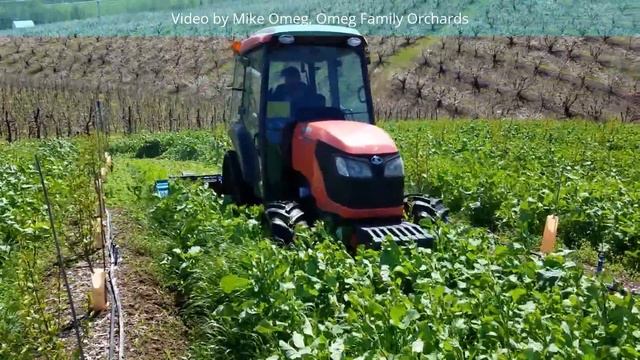 Mow and blow cover crop using Nobili SDS flail