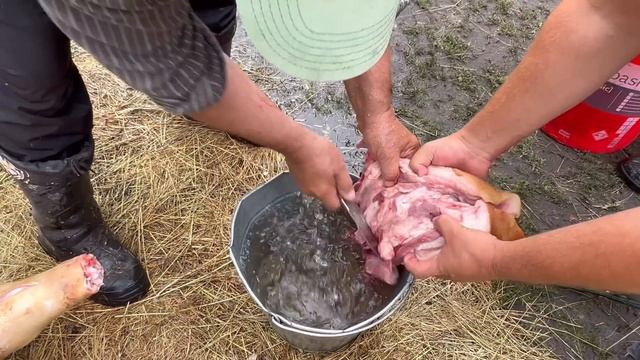 Мʼясник з 45 річним стажем показує і розповідає як розробляє тушу свині ????