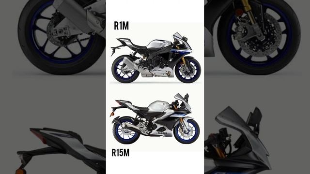 R15M vs R1M  Big Difference ?
