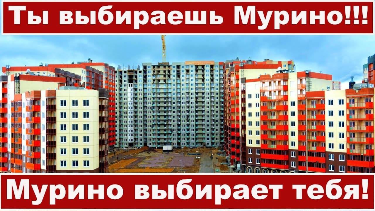 Плюсы и минусы проживания в Мурино.