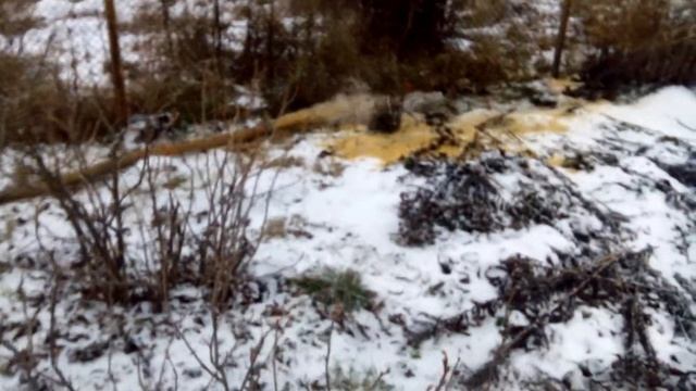 Откачка воды из колодца д.Никулинские выселки  декабрь 2014(1)