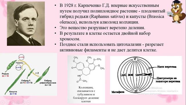 Методы селекции