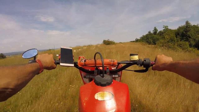 Pe lângă pădure :)