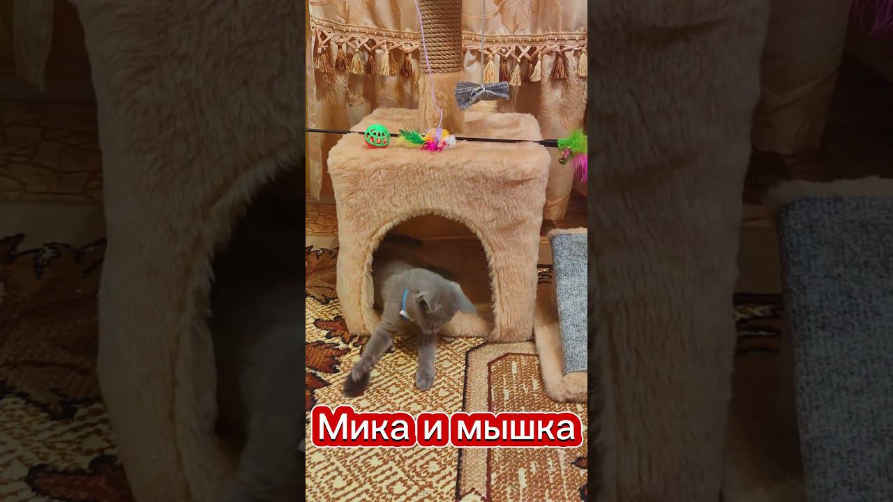 Мика и мышка