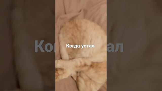 Пришёл с работы.