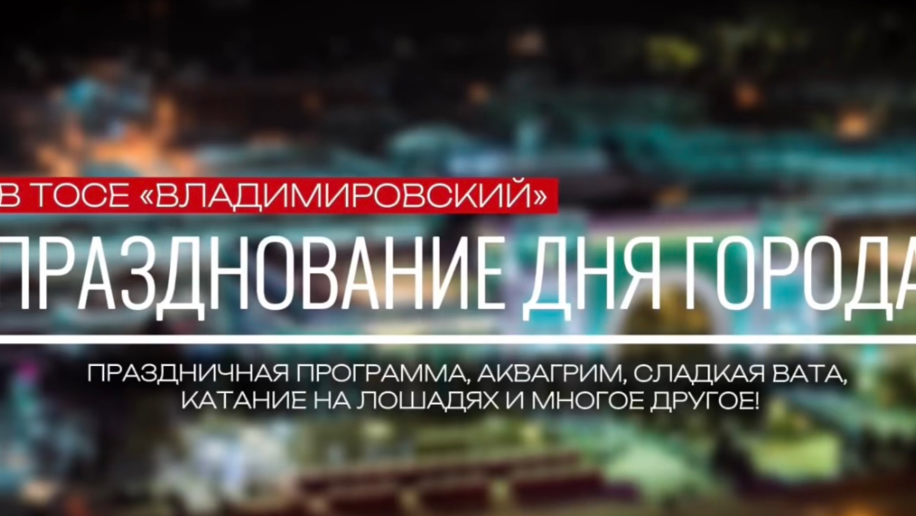 Празднование Дня города в ТОСЕ «Владимировский», июнь 2024 г.