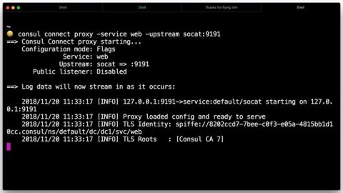 Getting Started with Consul: Service Segmentation with Consul Connect