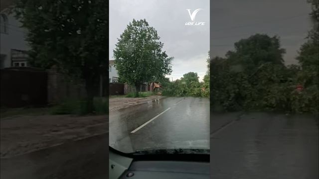 На ул. Федотовской за мостом 88 км (в сторону Лопатина) на машину упало от урагана дерево.