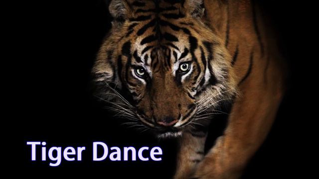 TeknoAXE's Royalty Free Music - Tiger Dance -- PercussionBackground -- Royalty Free Music
