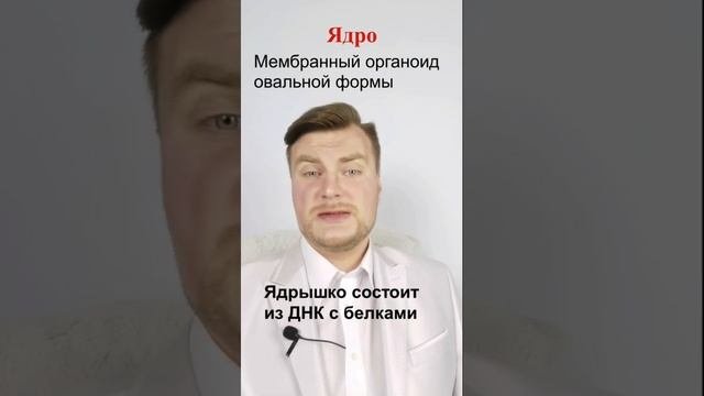 Ядро. ЕГЭ Биология. ЕГЭ 2022.
