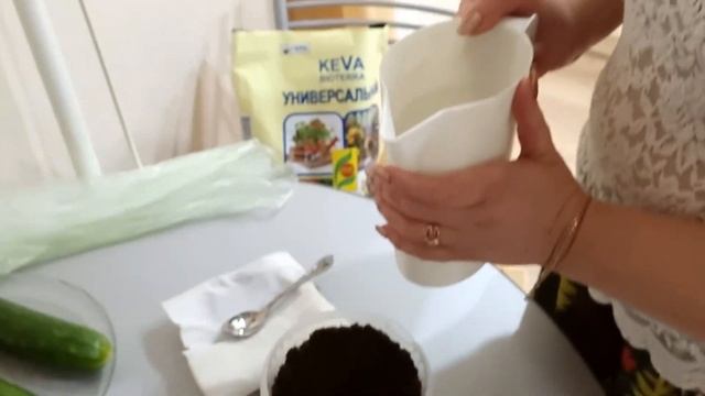 Посадка #2 Как правильно сажать огурцы?!