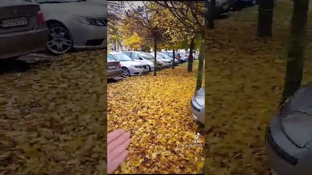 VID-20231104-WA0036.mp4