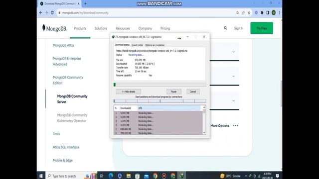 How to Install MongoDB on Windows | Step by Step Guide