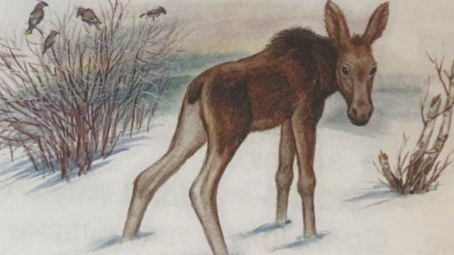 Серебряный ключик /В.Степанов/ сказка для детей / аудиокниги для самых маленьких