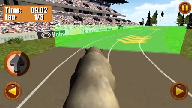 Wild Animal Racing Fever 3D HD Gameplay Android/IOS