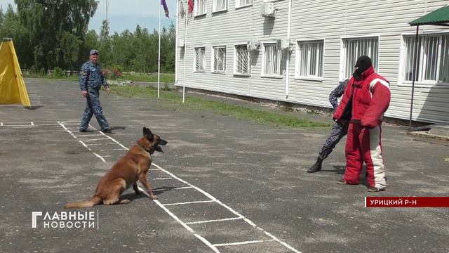 Сегодня все, кто работает в России со служебными собаками, отмечают профессиональный праздник!