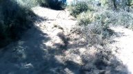 Прогулка по турецкому лесу в Сиде / Walk through the forest in Side
