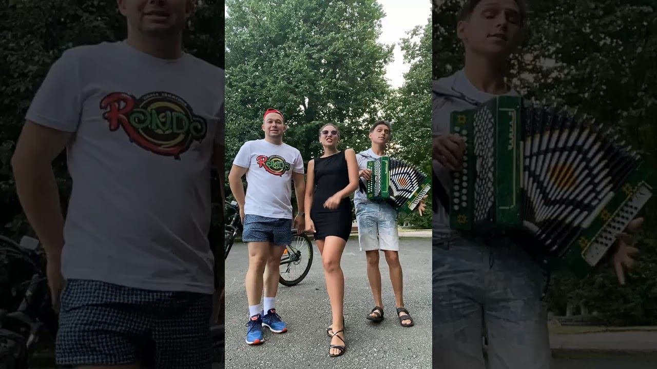 NILETTO - Любимка кавер версия под гармонь