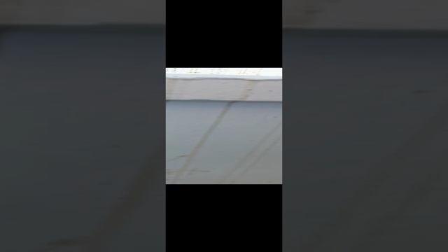 Реальный VHS найденный на старой  VHS кассете!