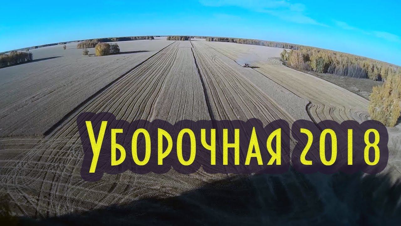 Уборочная 2018