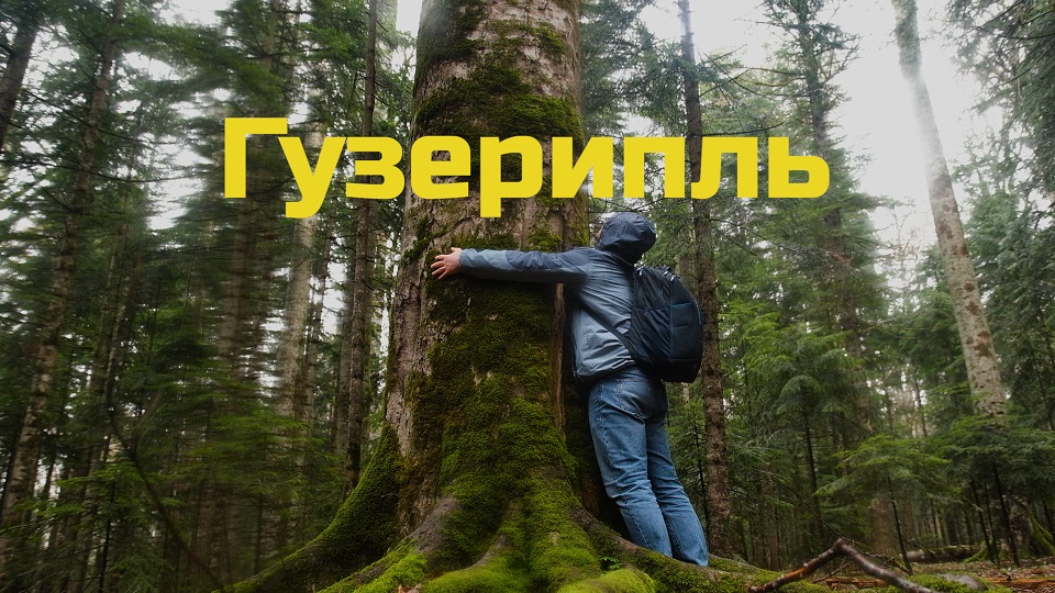 Гузерипль (Кавказский заповедник и Хаджокская теснина)