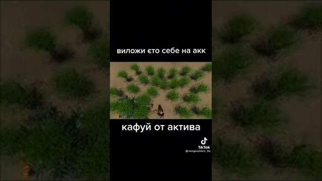 в шрека понос