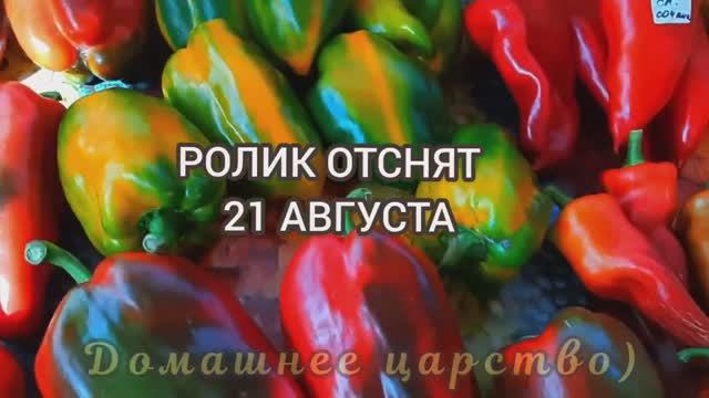 САМЫЕ УРОЖАЙНЫЕ СОРТА СЛАДКОГО ПЕРЦА