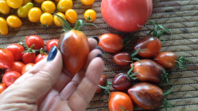 Вкусные помидоры. Помидоры для гурманов.