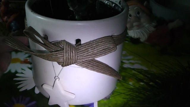 Горшочек для цветов с Новым годом))))