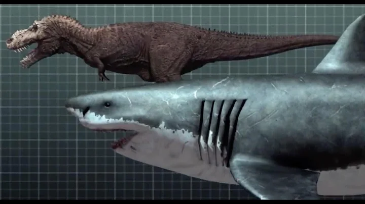 Мегалодон жив))) Доисторическую акулу обнаружили в Марианской впадине.