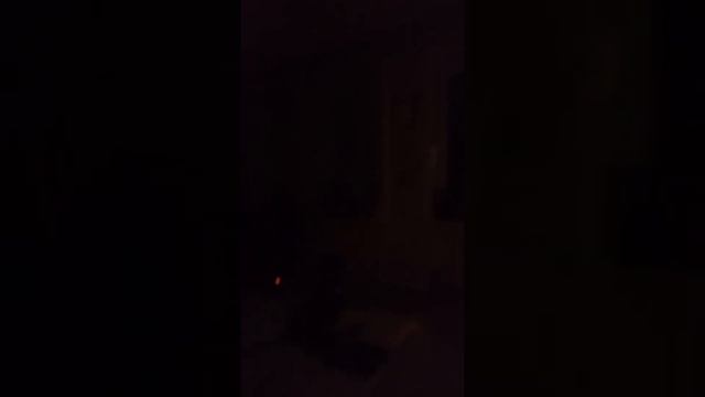 попытки поймать летучую мышь