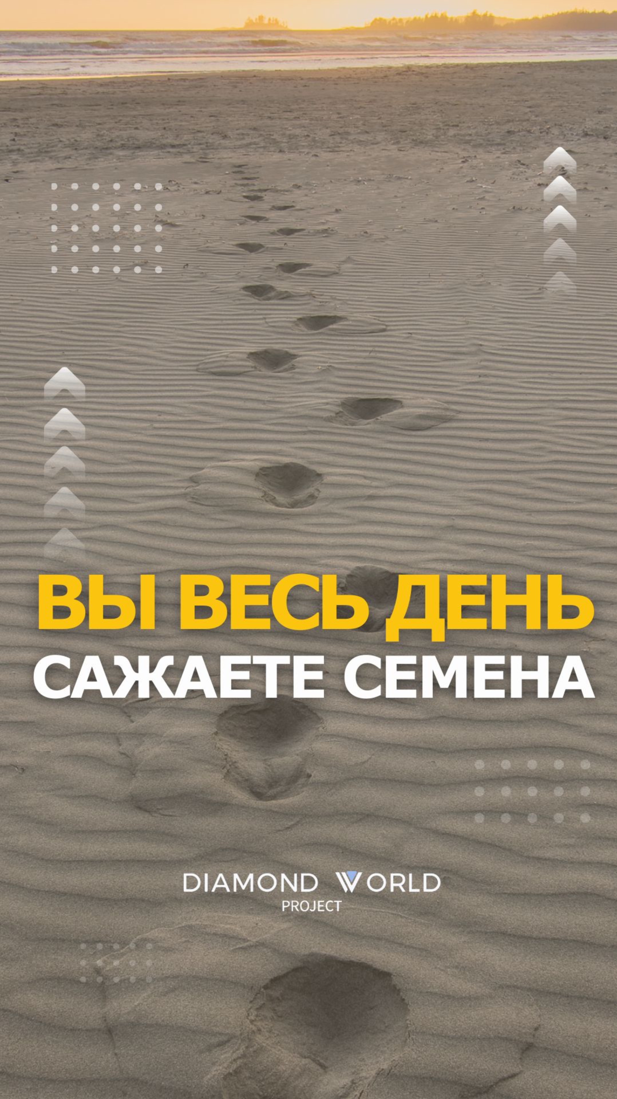 🌱ВЫ ВЕСЬ ДЕНЬ САЖАЕТЕ СЕМЕНА!