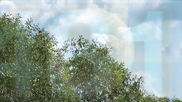 КОРПОРАТИВНЫЙ ФИЛЬМ для компании DANONE BELARUS / Nikita Bezrukov Studio