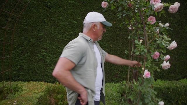 Update On My Climbing Rose