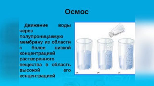 Головные боли напряжения - причины , симптомы , особенности Врач рассказывает