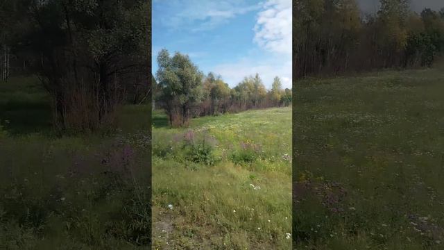 Под музыку!🎧