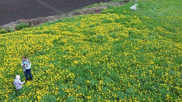 Агиртамак  14.05.20