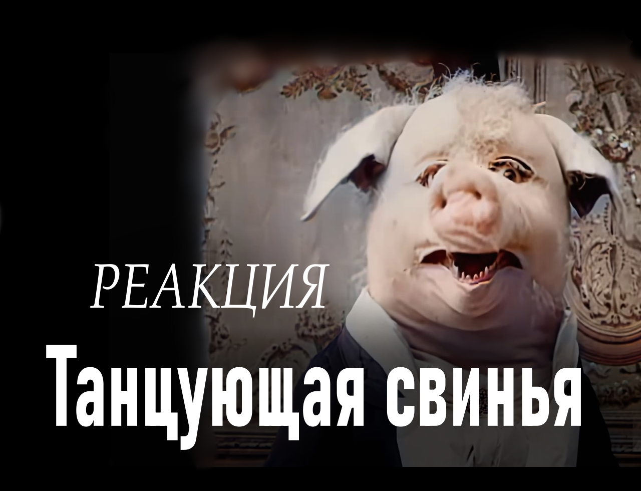 Пингвин Домино №1 - Танцующая свинья - реакция на фильм