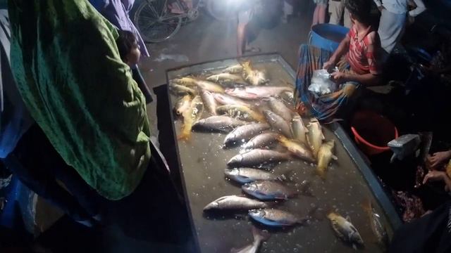 Рыбный Рынок /Бангладеш
