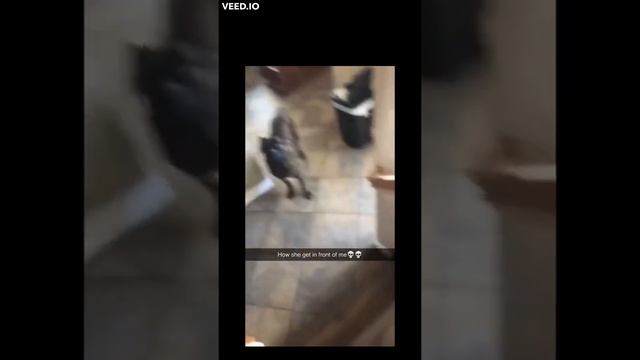 Memes  мемы 29
