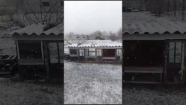 Снег Алтай