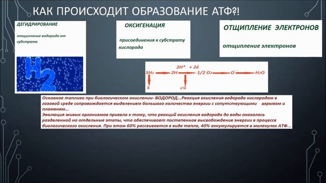 АТФ11112019.mp4