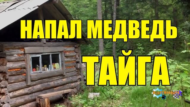 АТАКА МЕДВЕДЯ | ГЕОЛОГИ ЖИЗНЬ В ТАЙГЕ