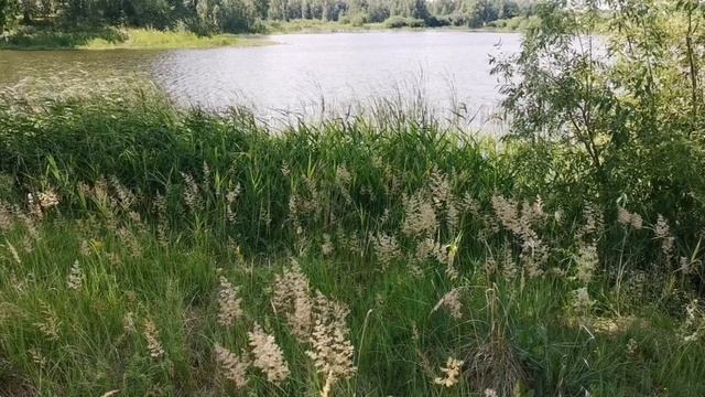 Практика, медитация настройки на день