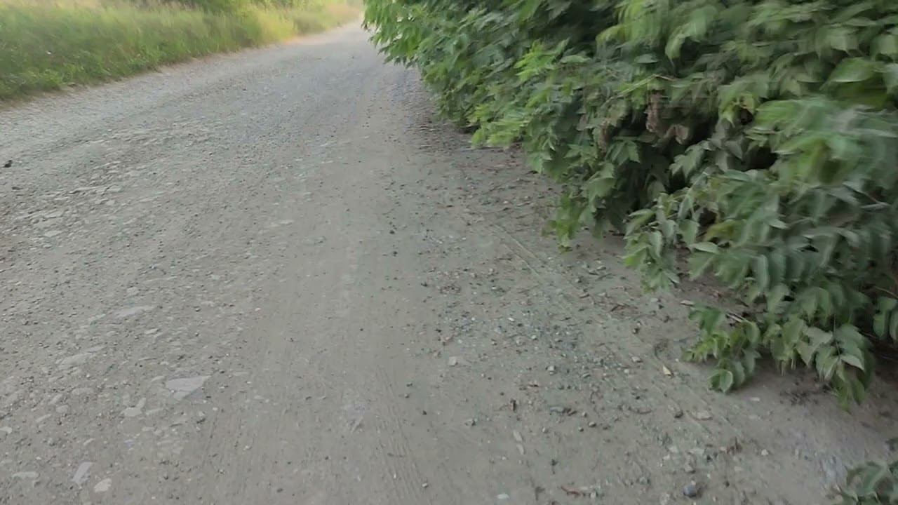 Часть 2 02-08-2023 День ВДВ