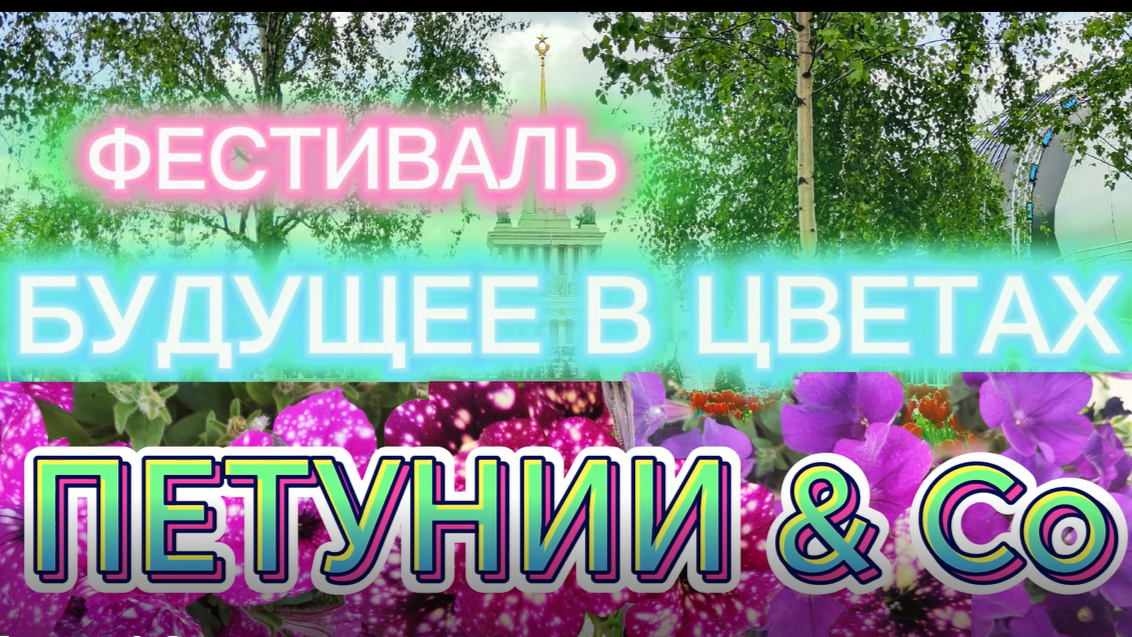 Петунии & Co. Фестиваль "Будущее в цветах".