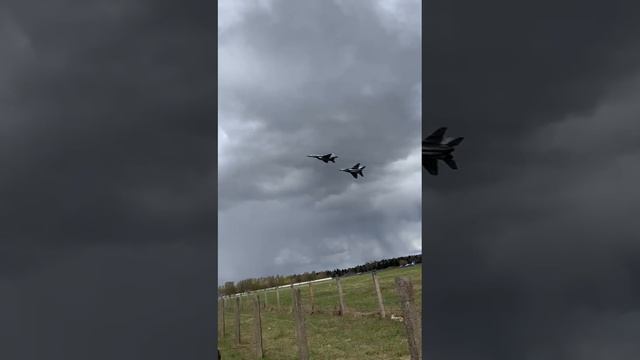 Смотреть видео онлайн