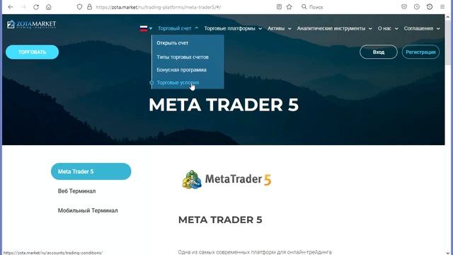 Zota market Отзывы Можно ли заработать, и как вывести деньги