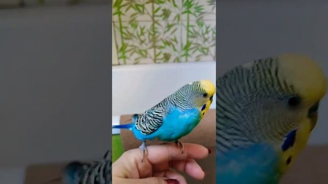 Утро начинается...